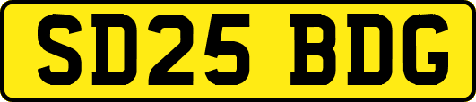 SD25BDG