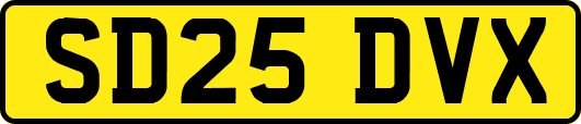 SD25DVX