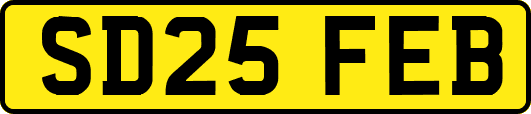 SD25FEB