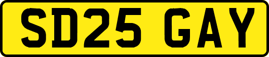 SD25GAY