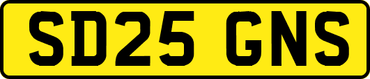 SD25GNS