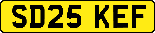 SD25KEF