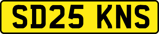 SD25KNS