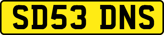 SD53DNS