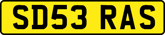 SD53RAS