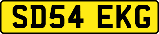 SD54EKG