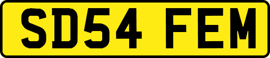 SD54FEM