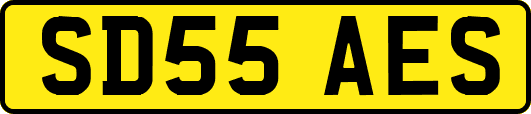 SD55AES