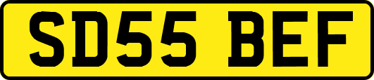 SD55BEF