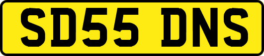 SD55DNS