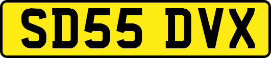 SD55DVX
