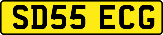 SD55ECG