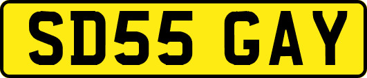 SD55GAY