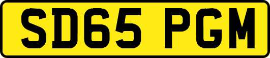 SD65PGM