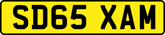 SD65XAM