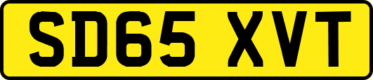 SD65XVT