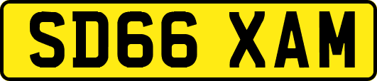 SD66XAM