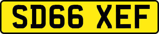 SD66XEF
