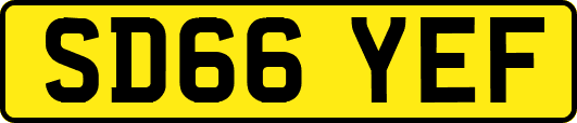 SD66YEF