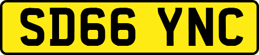 SD66YNC