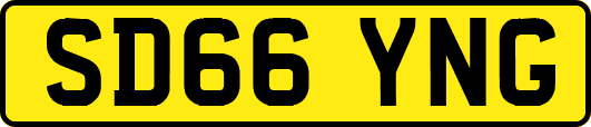SD66YNG