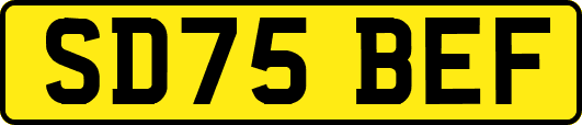 SD75BEF