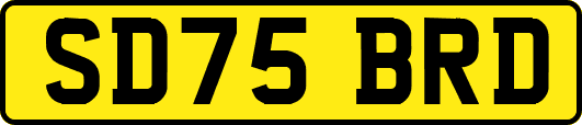SD75BRD