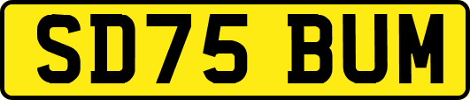 SD75BUM
