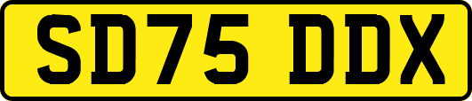 SD75DDX