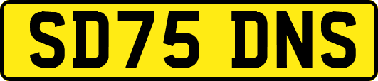 SD75DNS