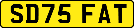 SD75FAT