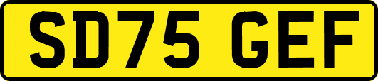 SD75GEF