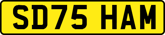 SD75HAM