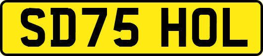 SD75HOL