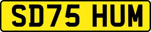 SD75HUM