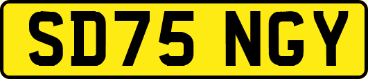 SD75NGY
