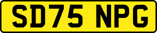 SD75NPG