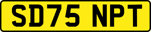 SD75NPT