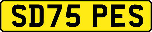 SD75PES