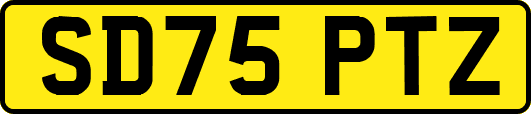 SD75PTZ