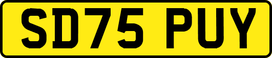 SD75PUY