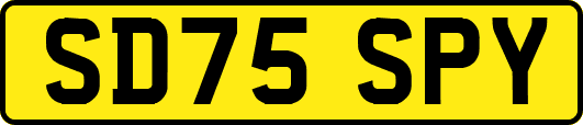 SD75SPY