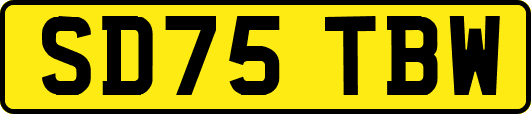SD75TBW