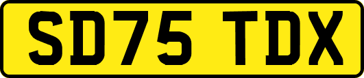SD75TDX