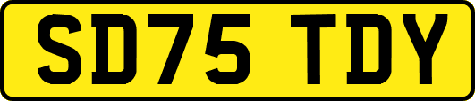 SD75TDY