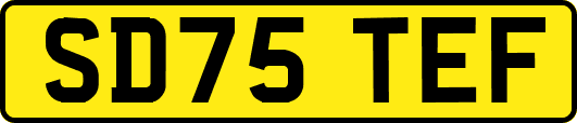 SD75TEF