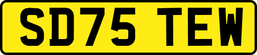 SD75TEW