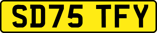 SD75TFY