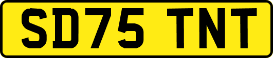 SD75TNT