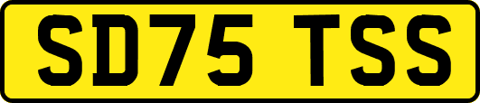 SD75TSS